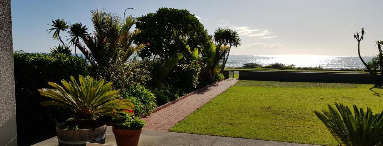 Beachfront Bliss Ohope Extérieur photo