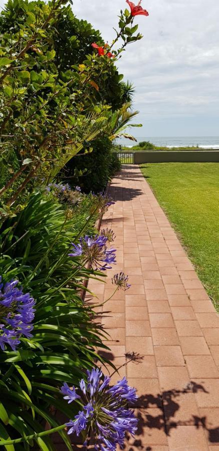 Beachfront Bliss Ohope Extérieur photo