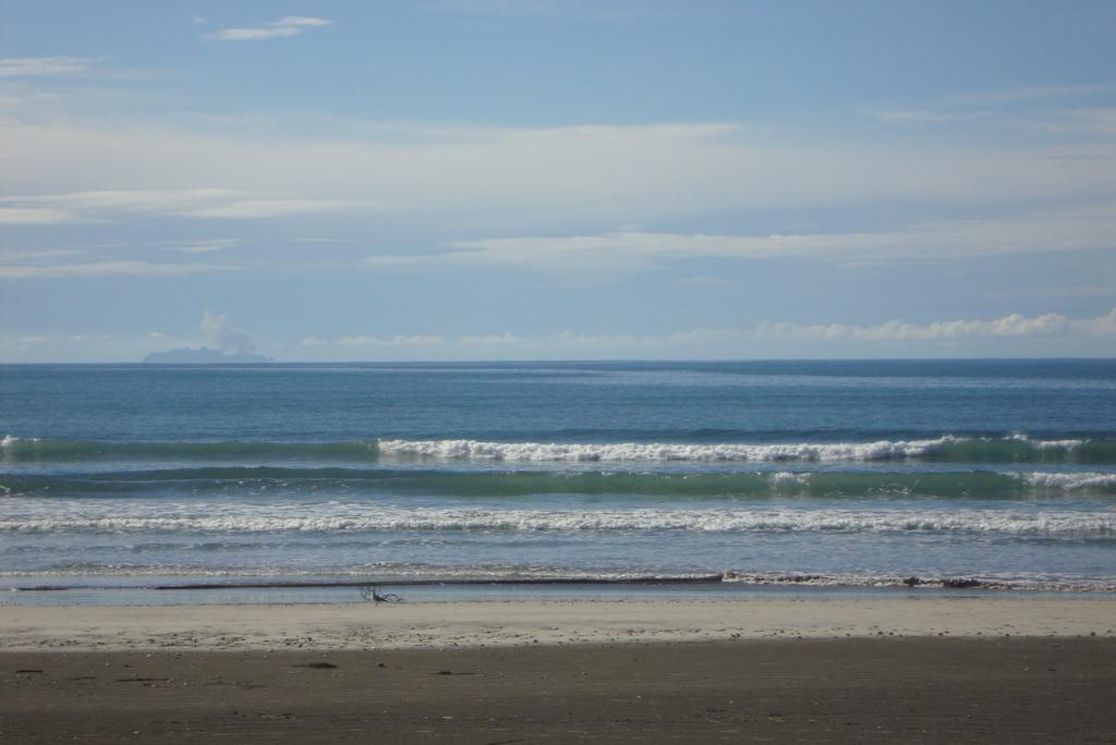 Beachfront Bliss Ohope Extérieur photo